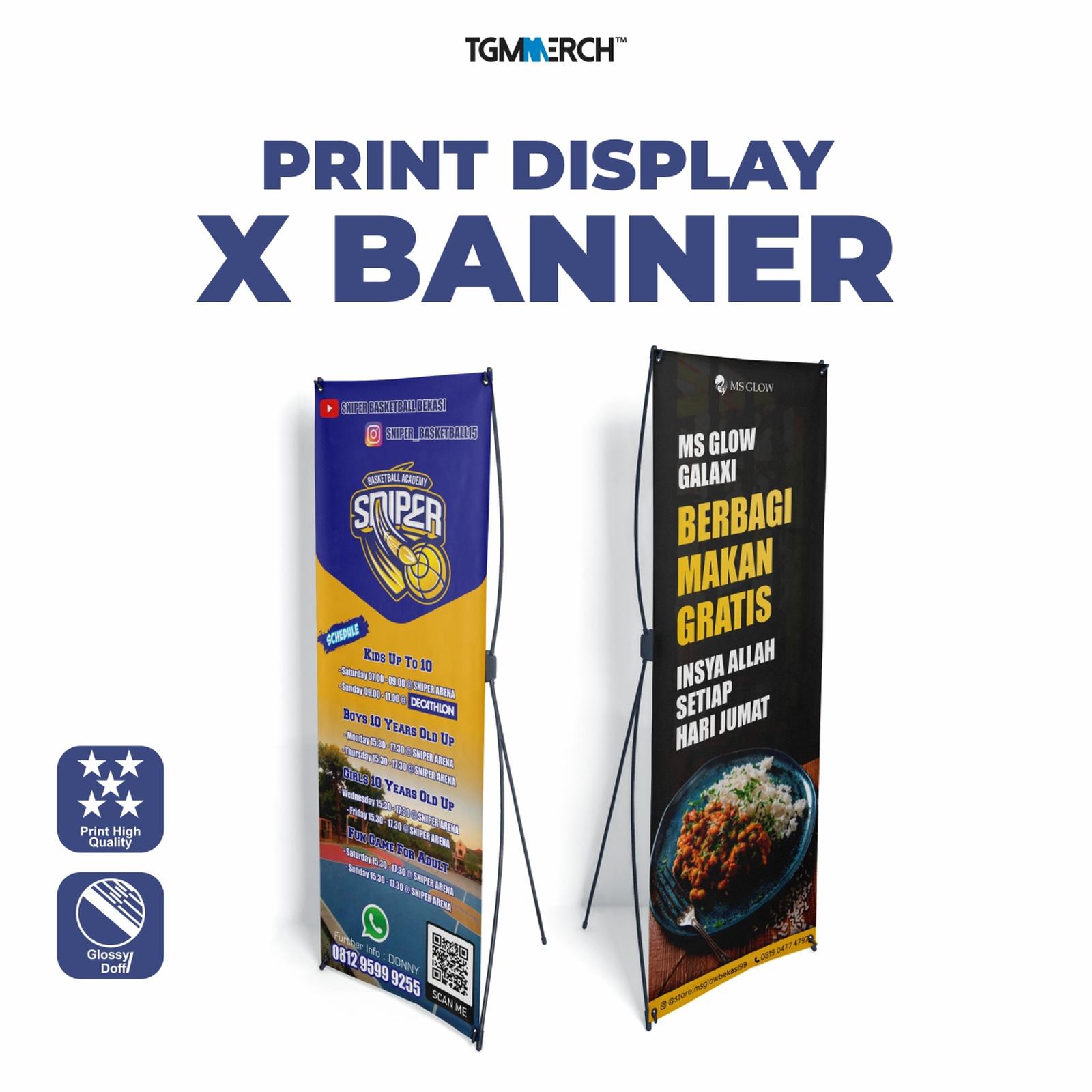 X Banner 60 x 160 cm Albatros + Gloss